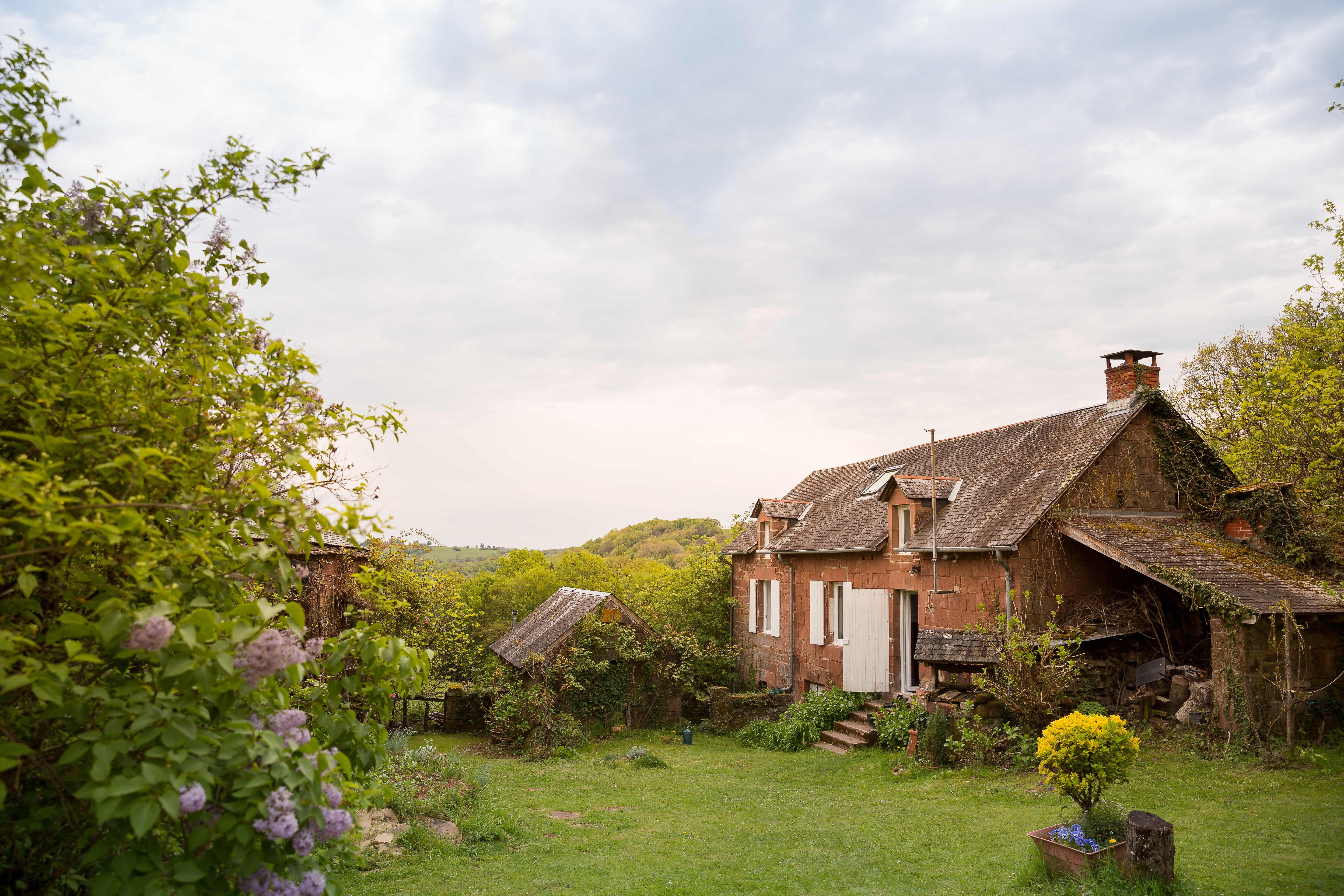 back yard cottage home